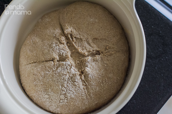 20160318-pendolamama-whole-meal-bread-with-dutch-oven-homemade-bread-10