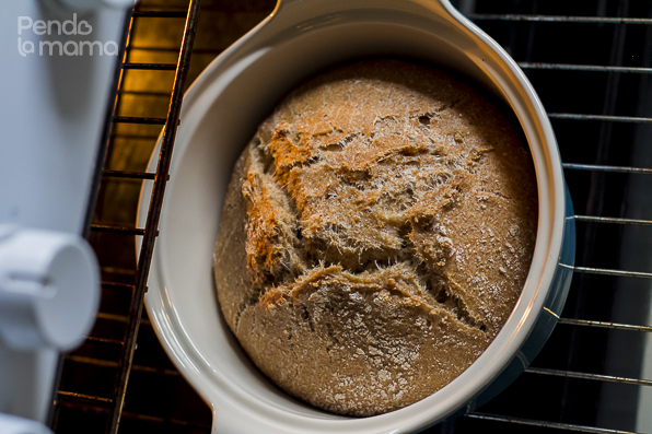 20160318-pendolamama-whole-meal-bread-with-dutch-oven-homemade-bread-11