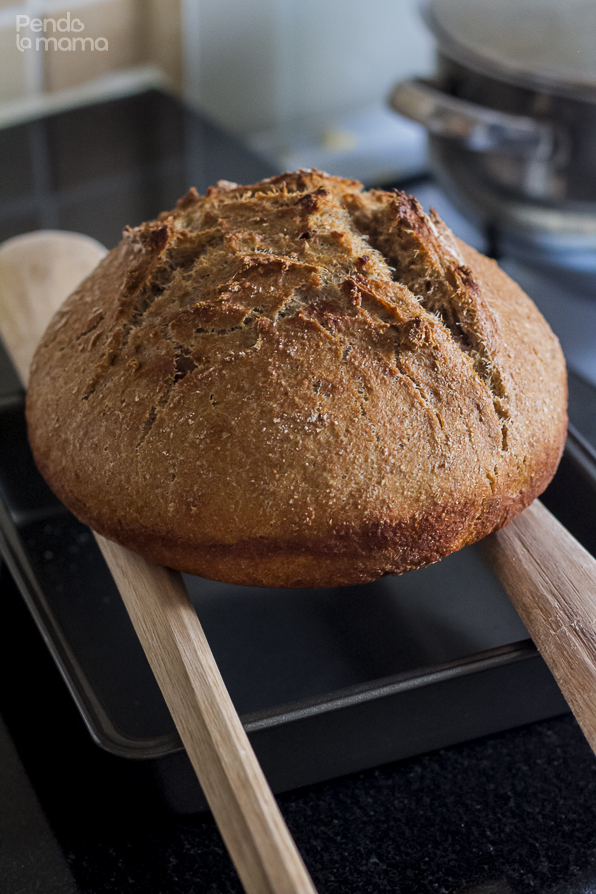 20160318-pendolamama-whole-meal-bread-with-dutch-oven-homemade-bread-15