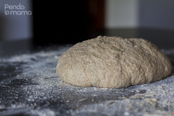 20160318-pendolamama-whole-meal-bread-with-dutch-oven-homemade-bread-6